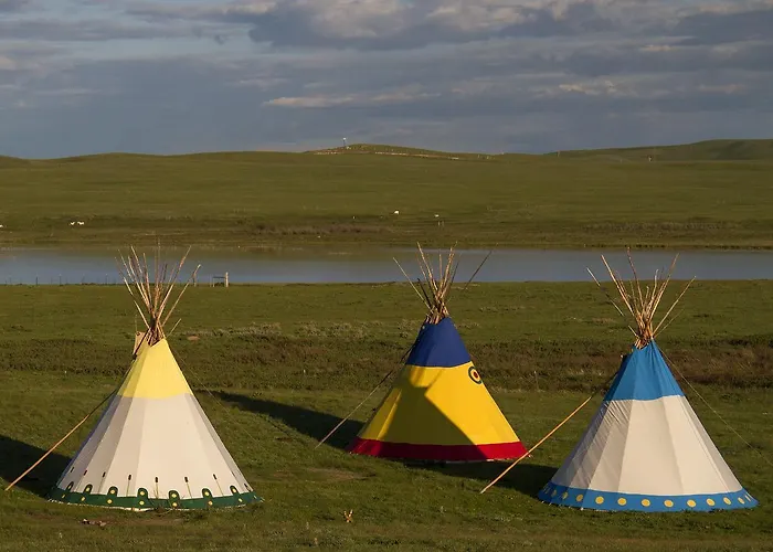 Lodgepole Gallery