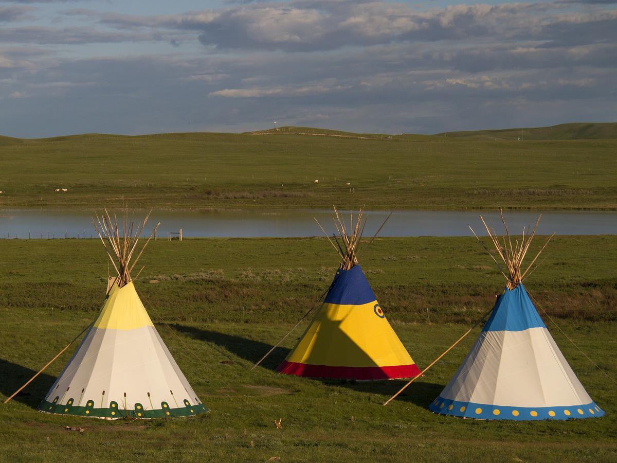 Lodgepole Gallery *